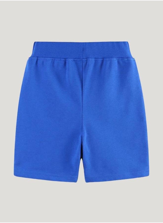 Blue Regular Fit Mid Rise Printed Shorts