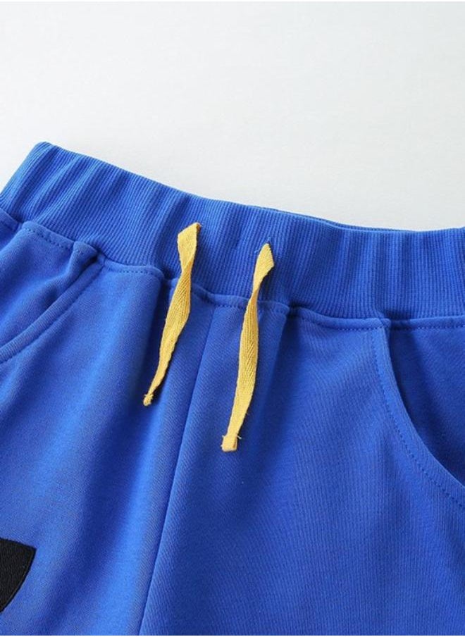 Blue Regular Fit Mid Rise Printed Shorts