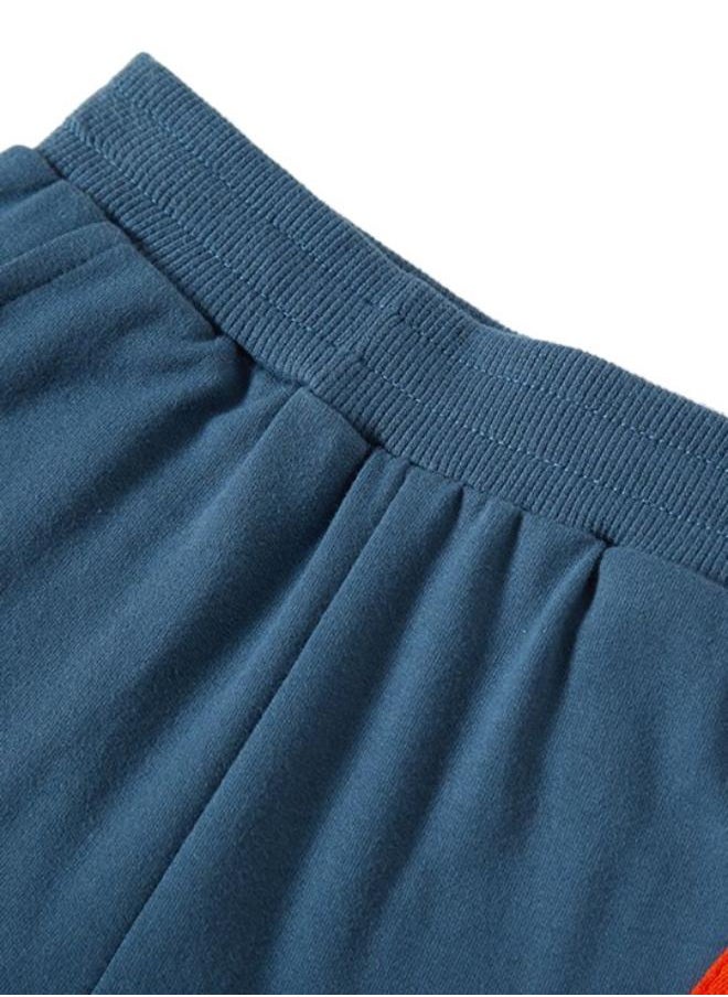 Blue Regular Fit Mid Rise Striped Shorts