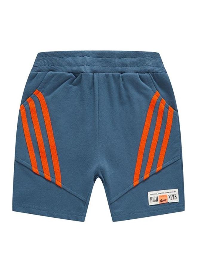 Blue Regular Fit Mid Rise Striped Shorts