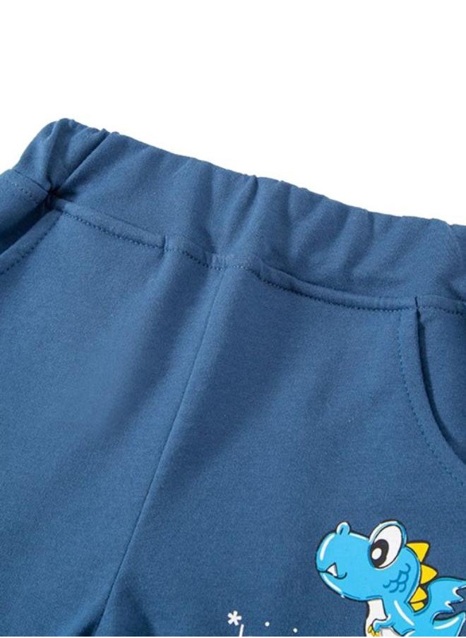 Blue Regular Fit Mid Rise Printed Shorts