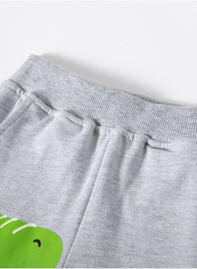 Grey Regular Fit Mid Rise Printed Shorts