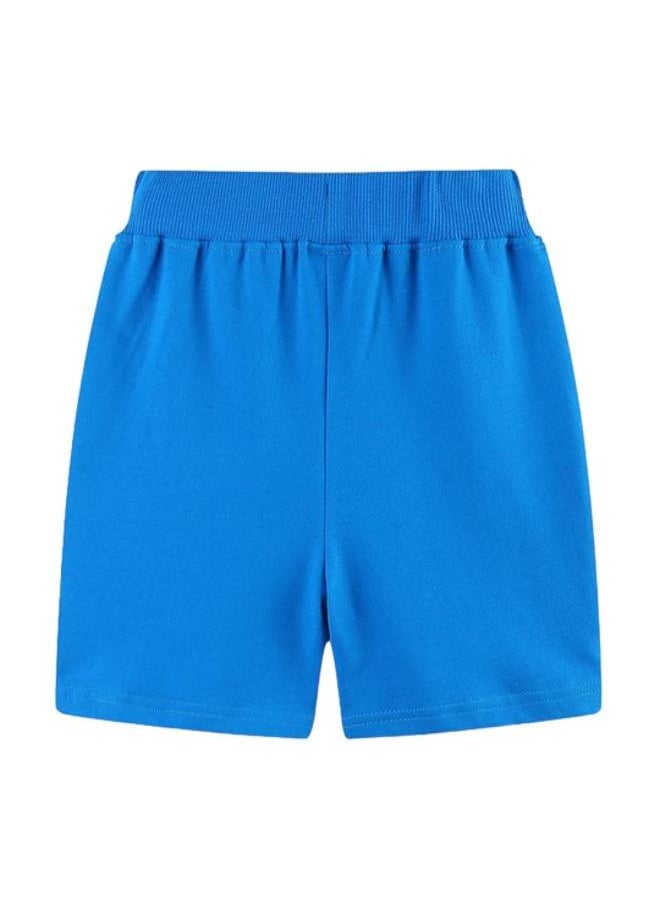 Blue Regular Fit Mid Rise Printed Shorts