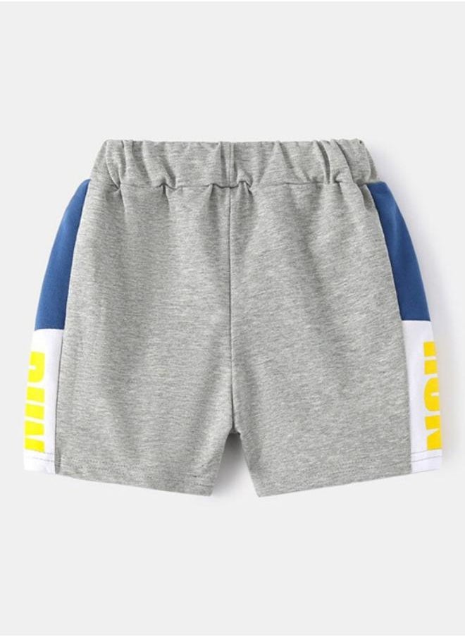 Grey Regular Fit Mid Rise Printed Shorts