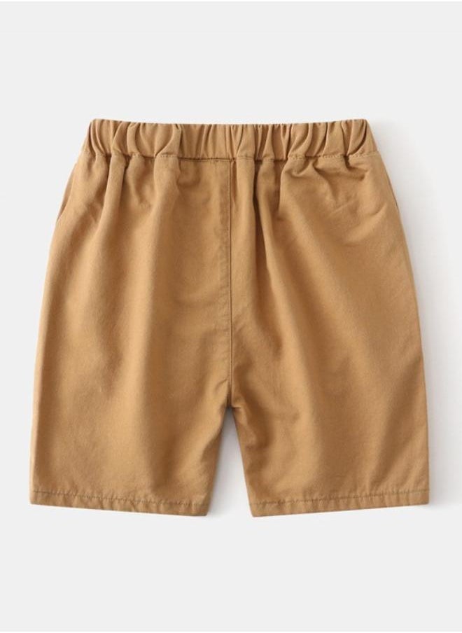 Brown Regular Fit Mid Rise Applique Shorts
