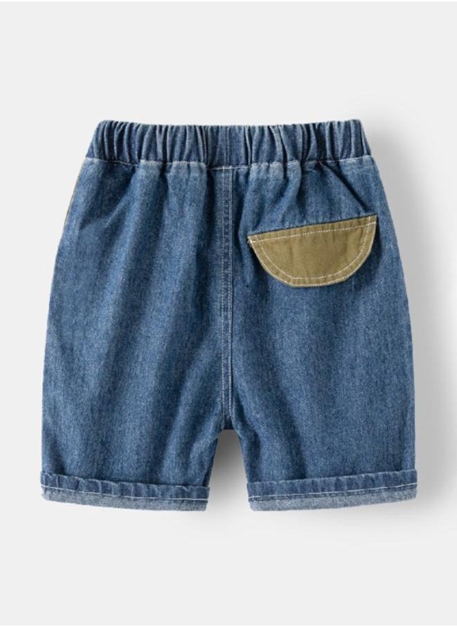 Blue Regular Fit Mid Rise Colour Blocked Denim Shorts