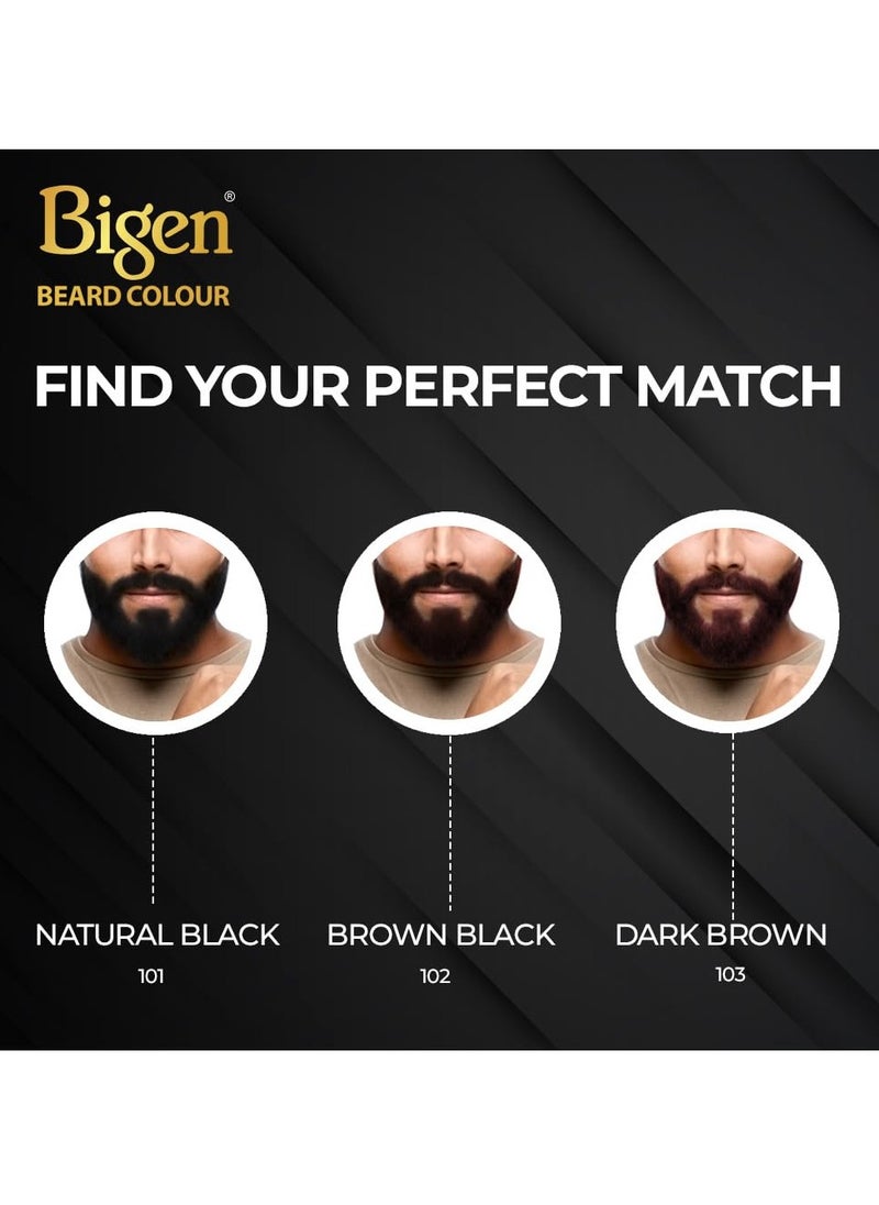 Bigen Professional Beard colour B102 Brown Black| Leaves no Stains, 40g+40g