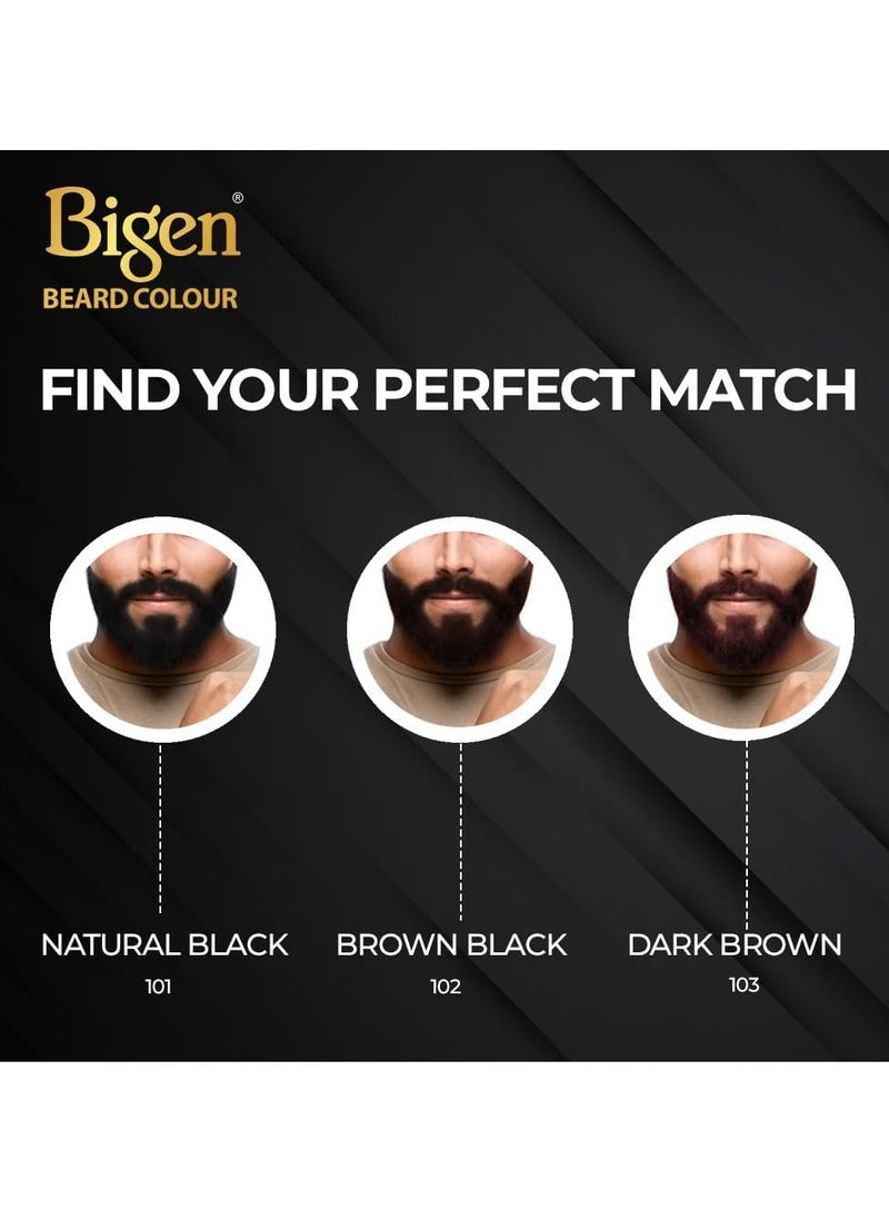 Bigen Professional Beard colour B102 Brown Black| Leaves no Stains, 40g+40g