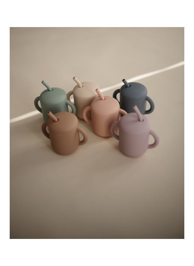 Silicone Training Cup + Straw Cambridge Blue