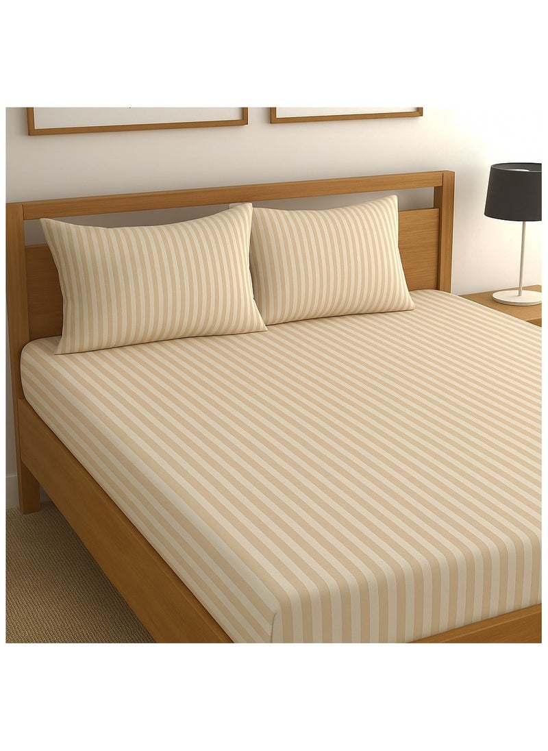 King Size Flat Bedsheet Set (250x240 cm) with 2 Pillowcases   144 TC Cotton  Beige Striped Design