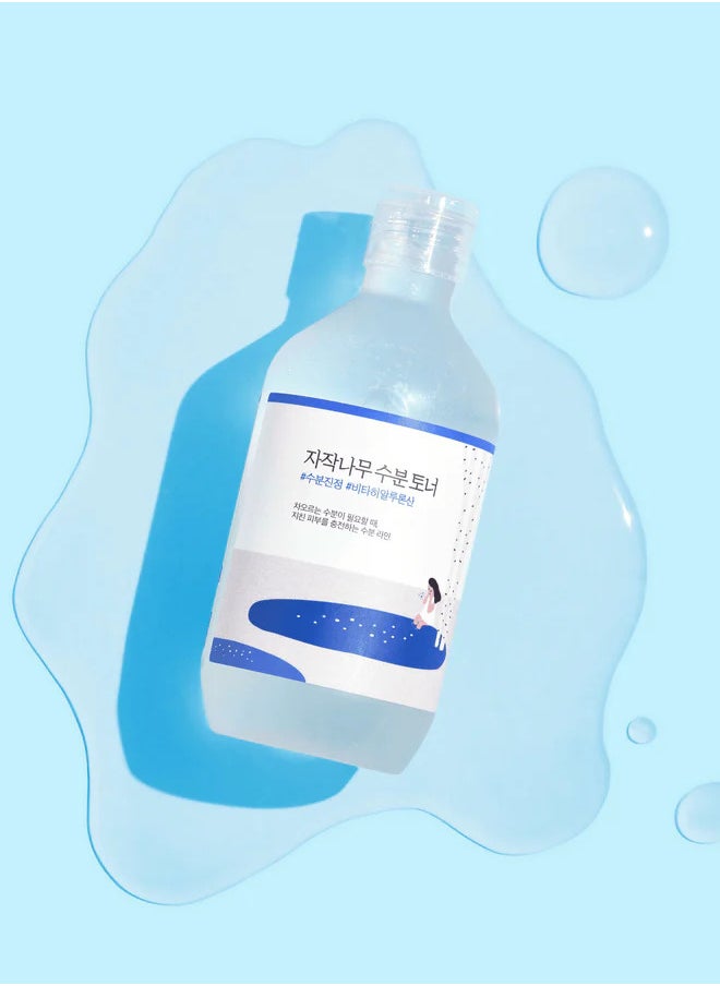 Round Lab Birch juice moisturizing toner 300ml