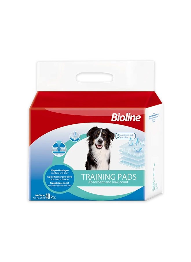 Training Pads - 40 Pads (60X60 CM)