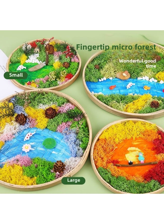 Immortal Moss Painting Material Bag Bamboo Basket Handmade DIY Bamboo Frame Creative Plant Painting Green Plant Photo Frame Warm Field Group Building-Color:❈8inch Photo Frame Warm Fairy Tale❈