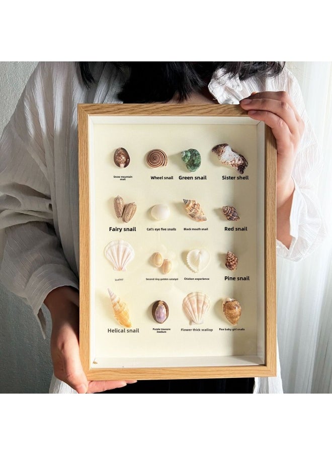 Wengkai Shell Three-dimensional Hollow Photo Frame Specimen Frame Diy Table Plant Clay Dried Flower Display Frame Frame Wooden-Colour:Square 8inch [inner Diameter 20*20cm]-walnut Color [hollow 5cm] Horizontal And Vertical Table