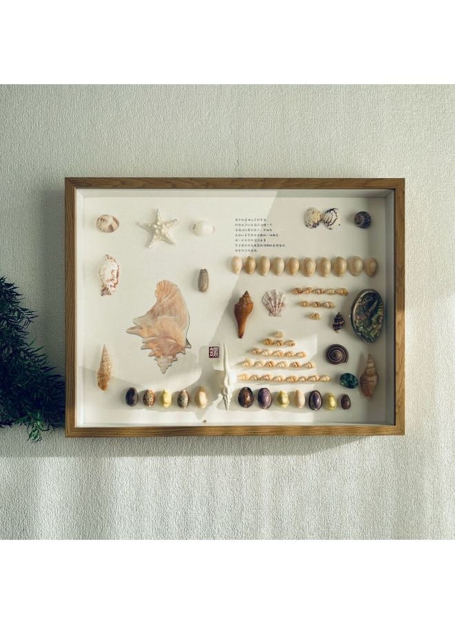 Wengkai Shell Three-dimensional Hollow Photo Frame Specimen Frame Diy Table Plant Clay Dried Flower Display Frame Frame Wooden-Colour:Square 8inch [inner Diameter 20*20cm]-walnut Color [hollow 5cm] Horizontal And Vertical Table