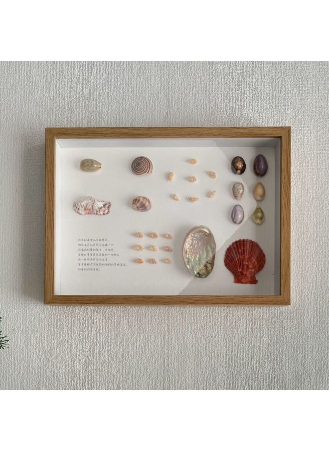 Wengkai Shell Three-dimensional Hollow Photo Frame Specimen Frame Diy Table Plant Clay Dried Flower Display Frame Frame Wooden-Colour:A4 [inner Diameter 21*30cm] - White [hollow 5cm] Horizontal And Vertical Table