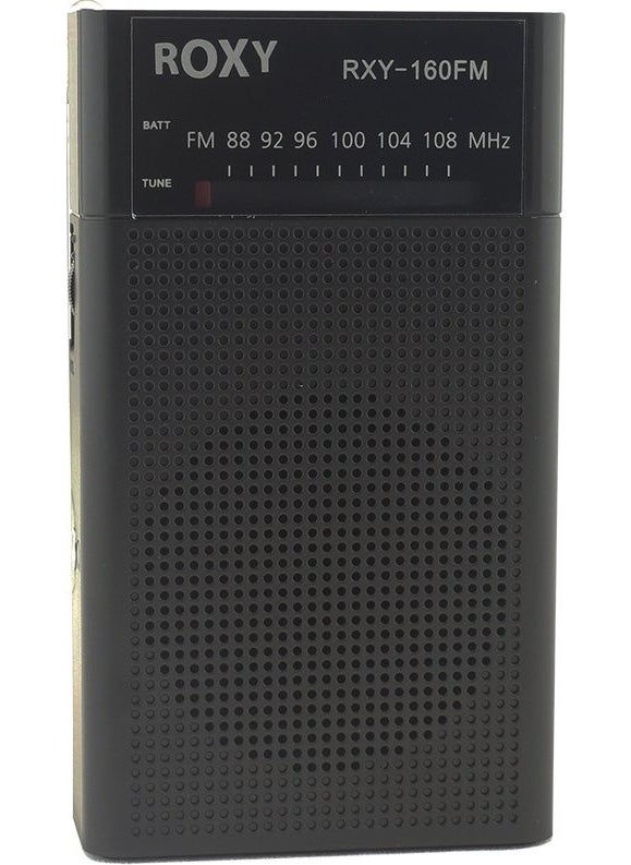Dexter RXY-160FM Pocket Mini Analog Radio
