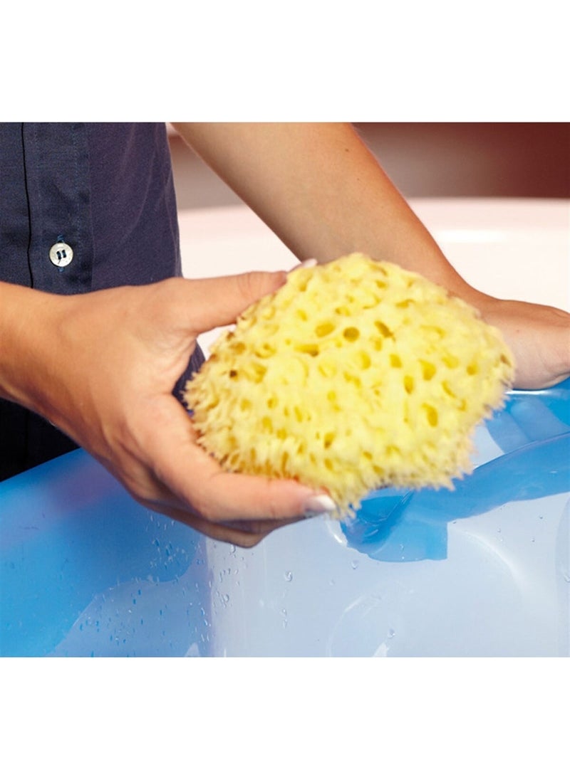 Natural Bath Sponge / Medium