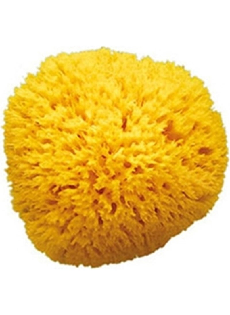 Natural Bath Sponge / Medium