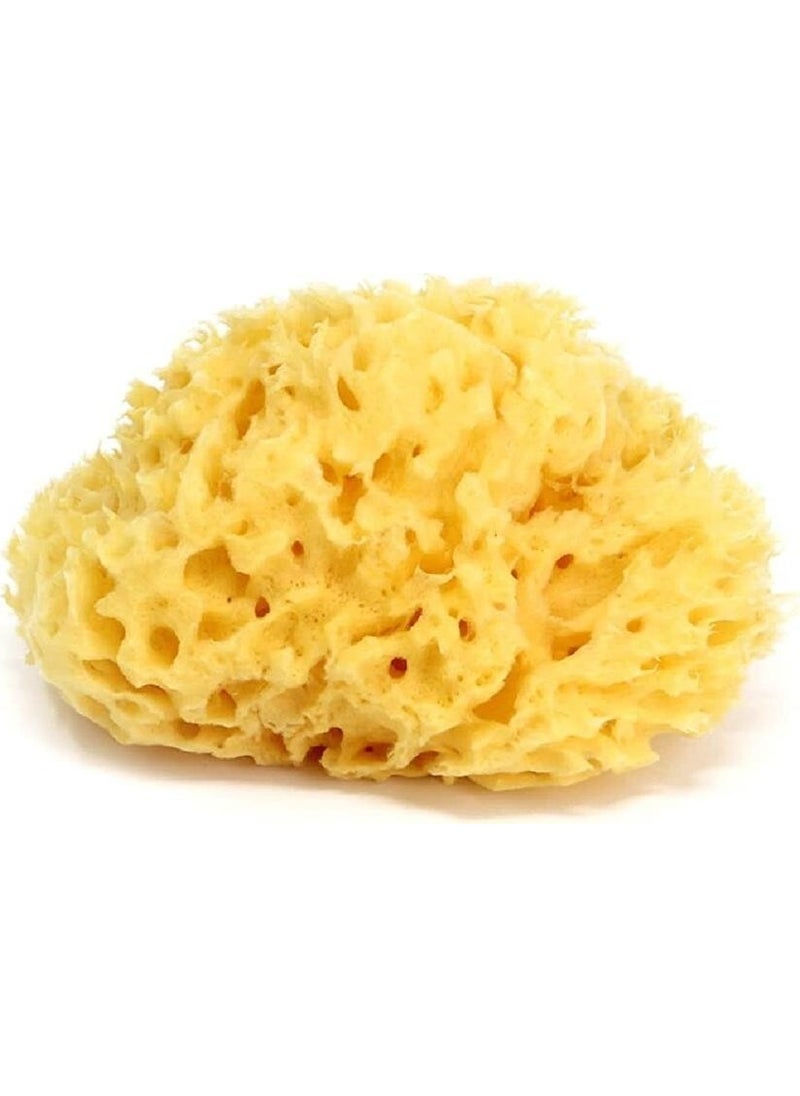 Splash Baby Shower / White Natural Bath Sponge No.10