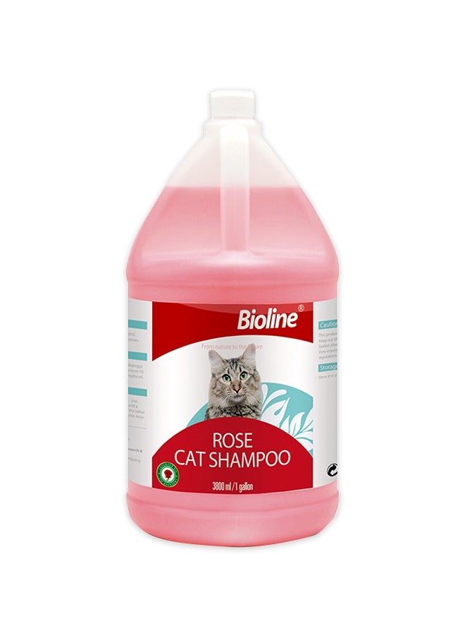 Rose Cat Shampoo - 3.8L