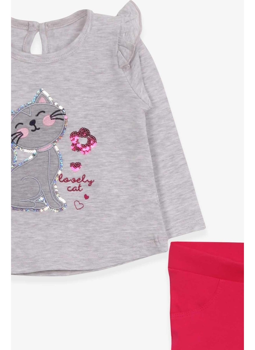 Baby Girl Tights Set Sequined Kitten Printed 9 Months-3 Years, Light Gray Melange