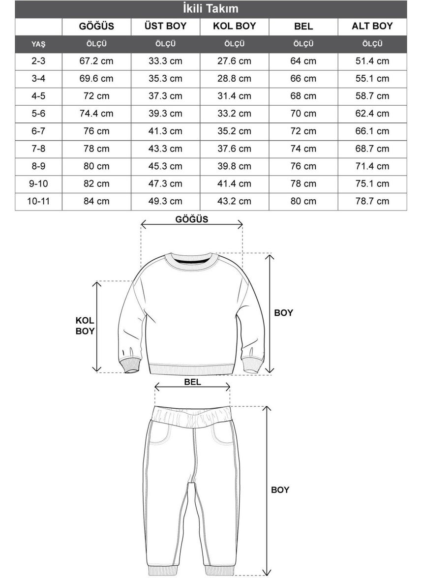 Crew Neck Long Sleeve Flower Embroidery Printed Purple Color Girl's Two Piece Set