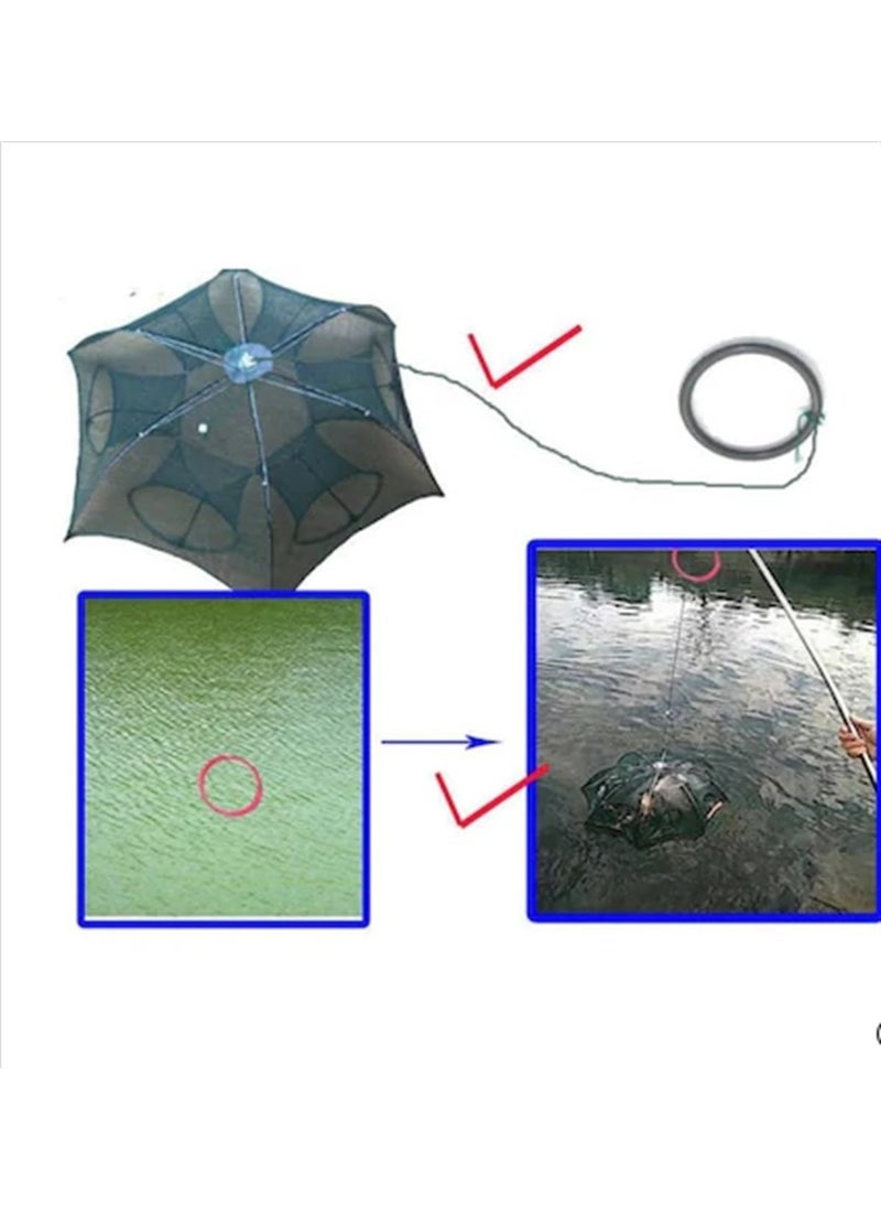 Umbrella Model 6 Entry Fish Trap (Pinter)