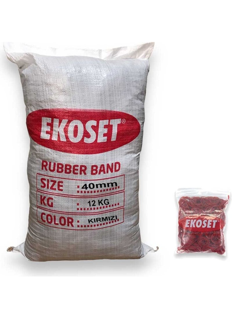 Wholesale Red Buckle Elastic 12 kg