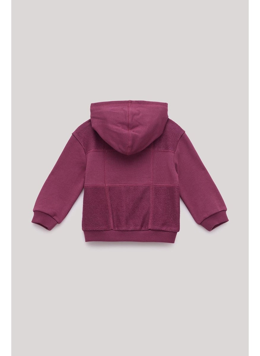 Bg Store Baby Boy Burgundy Tracksuit Top