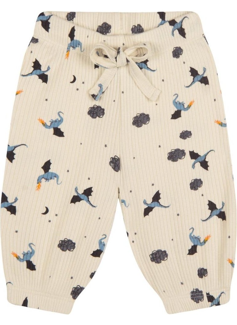 Dragon Tracksuit Pants