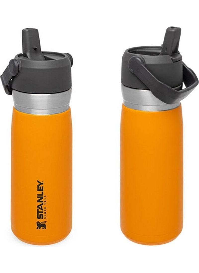 Go Iceflow Stainless Steel Cold Water Thermos with Straw 0.65 Lt - Orange