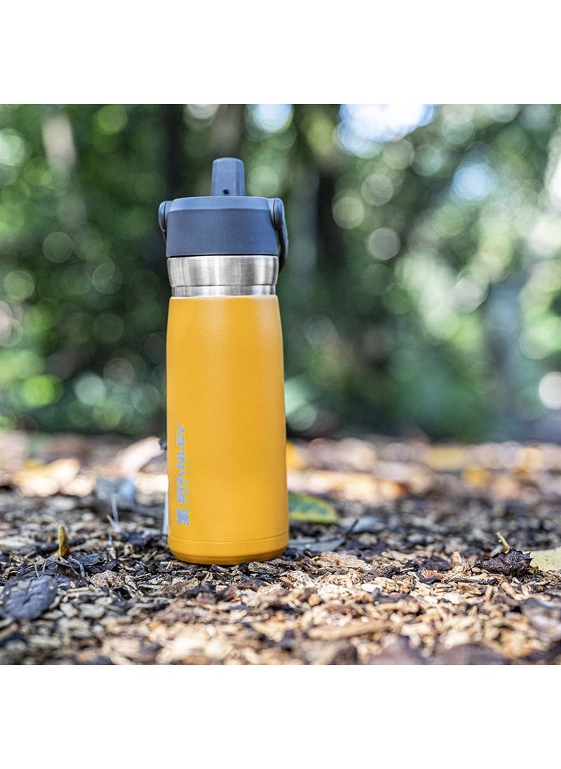 Go Iceflow Stainless Steel Cold Water Thermos with Straw 0.65 Lt - Orange
