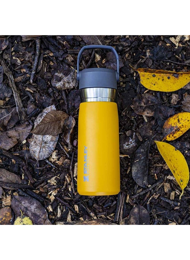 Go Iceflow Stainless Steel Cold Water Thermos with Straw 0.65 Lt - Orange