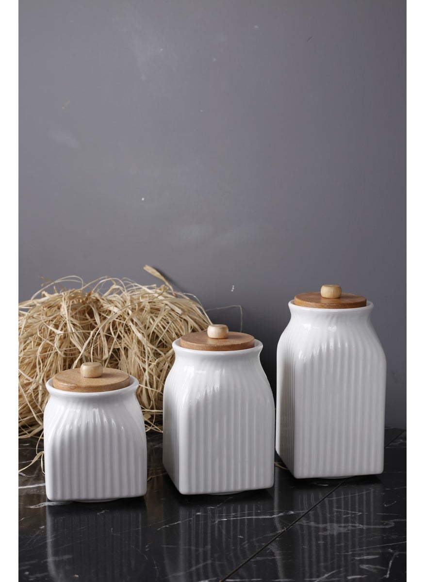 3-Piece Luxury Tea Sugar Salt Storage Jar Set
