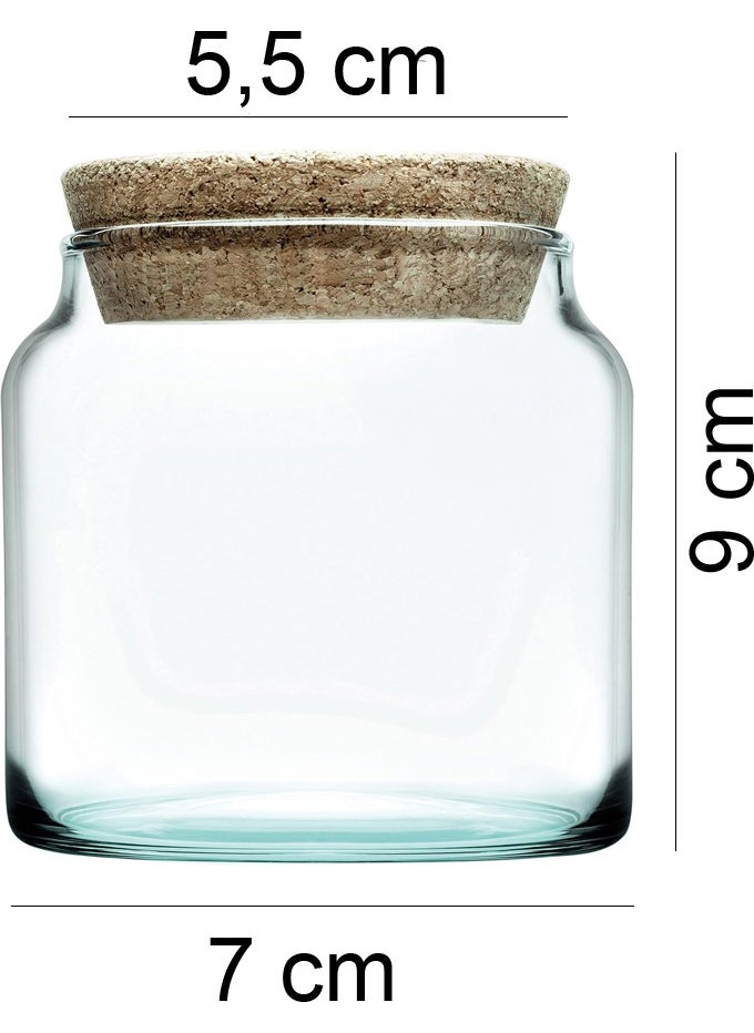 6 Pieces Small Glass Jar Set with Cork Lid 300 Ml, 12 Piece Spice Jar, Black Label