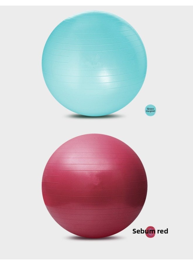 Spot Fitness Body PVC Inflatable Yoga Ball Environmental Protection Thickened Massage Ball Yoga Balance Ball-Diameter:65cm