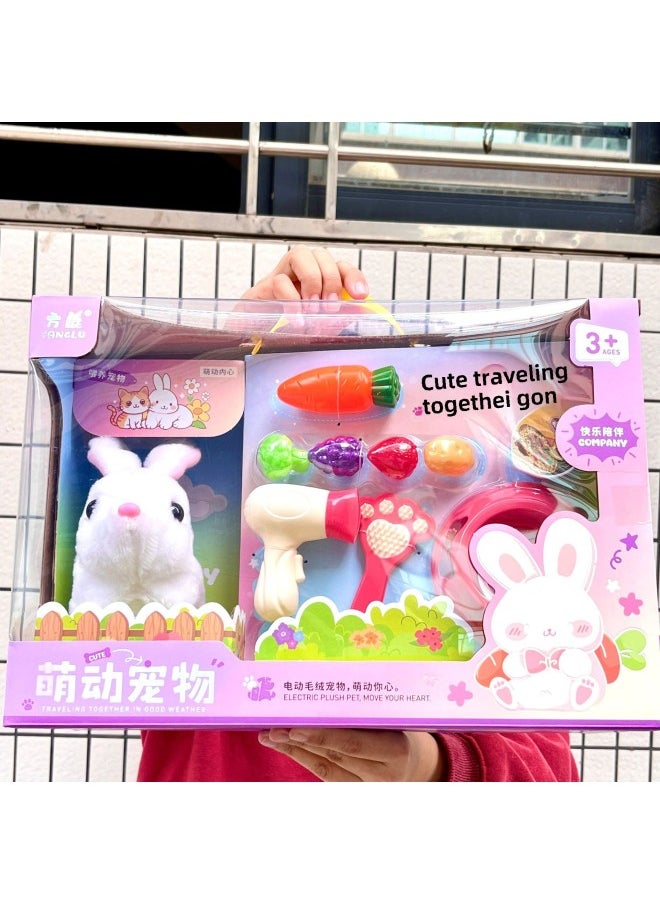 Children's Electric Simulation Plush Pet Teddy White Rabbit Can Walk And Call Electric Toy Gift Box Institution Gift-Color:6698-2 Golden Retriever