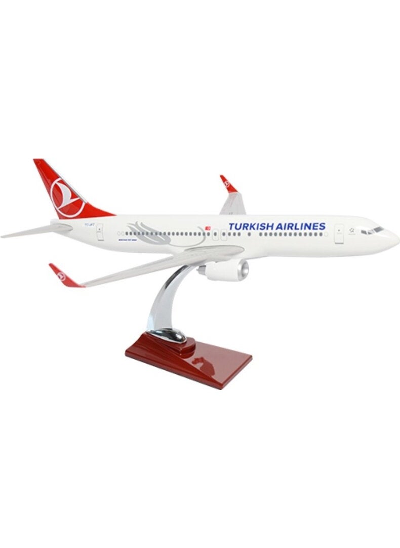Boeing 737-800 Abs 1/100 Model Airplane Desktop Exhibition Model Aircraft
