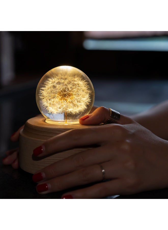 Gift For Girls Dandelion Crystal Ball Music Box Wooden Music Box Eternal Flower Music Box Birthday Z1-Color:9cm Dandelion Ball Colorful Rotating APP Bluetooth-Dimensions:Totoro