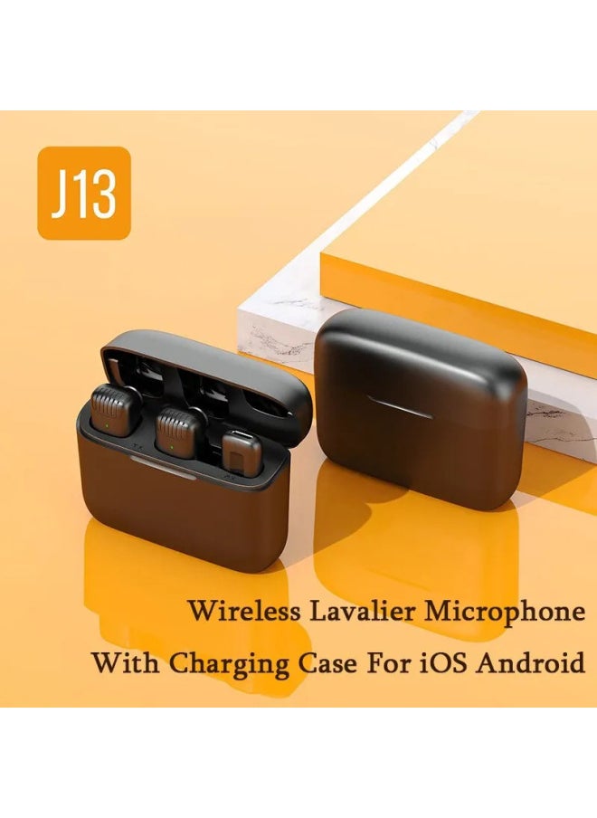 Wireless Microphone Collar Microphone One Support Two Microphone Pickup Microphone With Charging Bin Double Microphone Bluetooth Mini Microphone-Color:j13 One-to-two TYPE C With Charging Bin