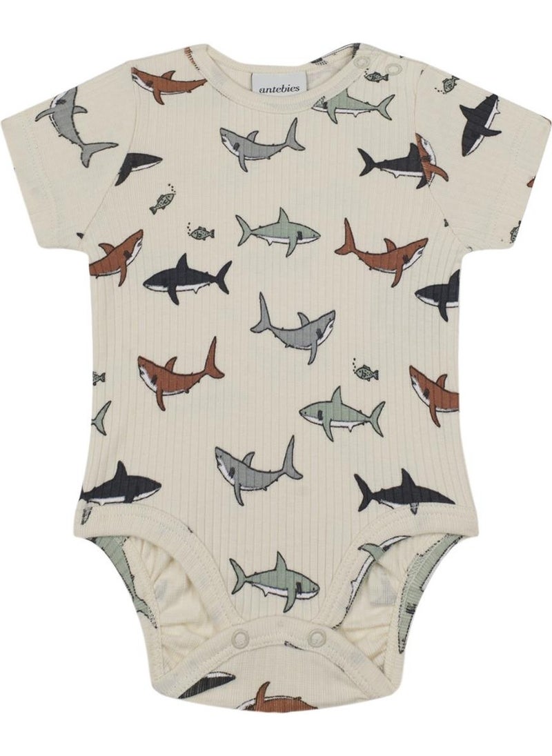 Shark Body