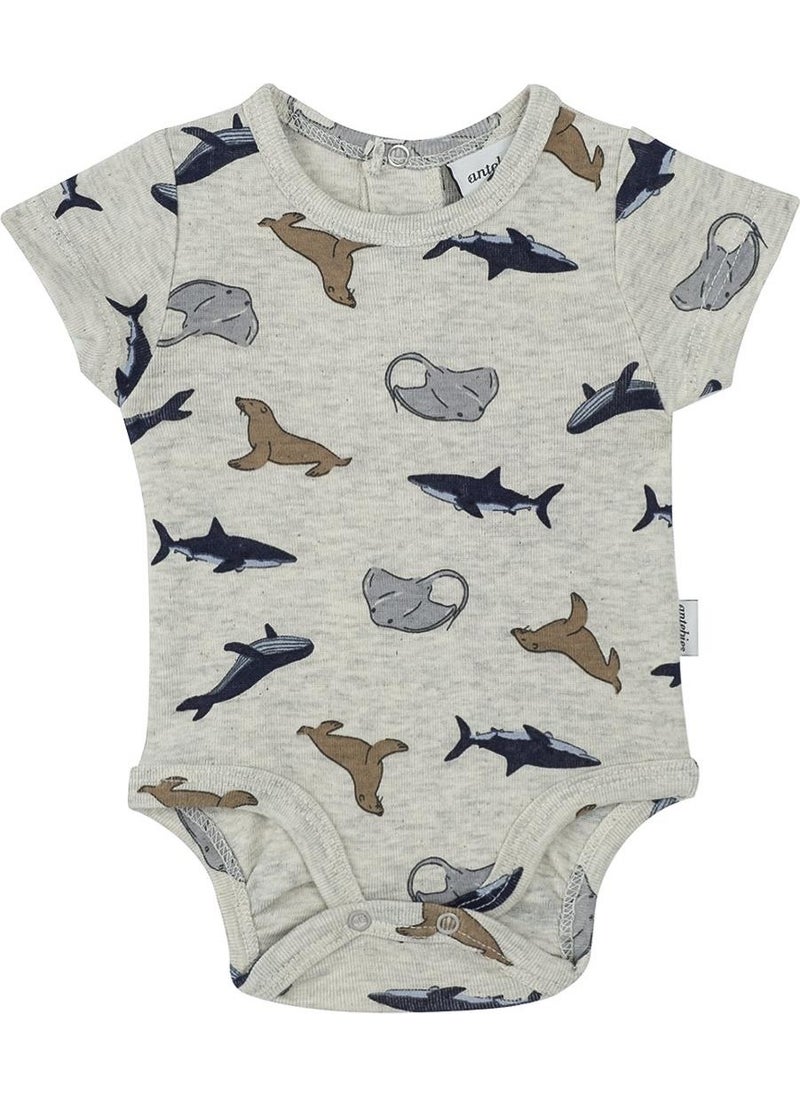 Sea Life Body