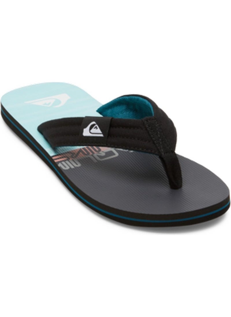 AQYL101339 Molokai Layback II Men's Slippers