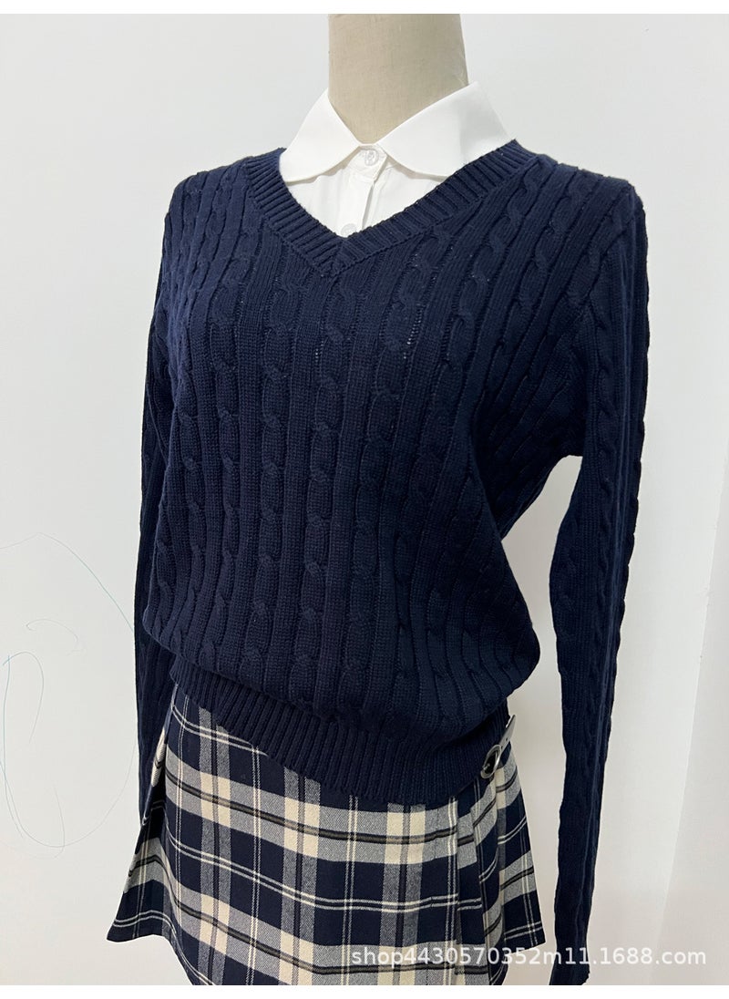 Grey V-Neck Sweater Pleated Skirt Set Navy blue