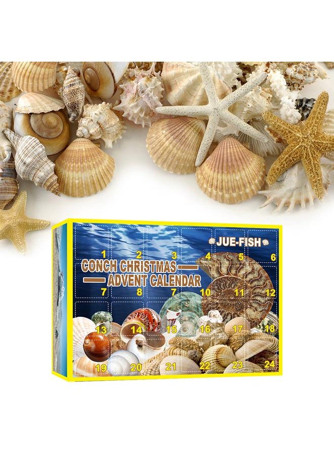 Christmas Countdown Advent Calendar 24 Pcs Shell Toys 2021 Conch Toy Set Blind Box Gift New Year