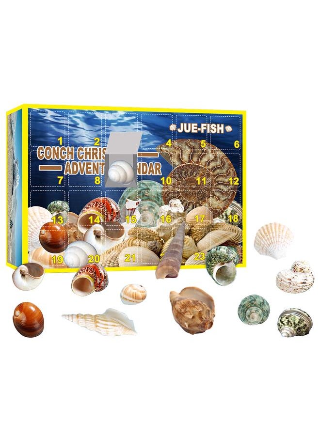 Christmas Countdown Advent Calendar 24 Pcs Shell Toys 2021 Conch Toy Set Blind Box Gift New Year