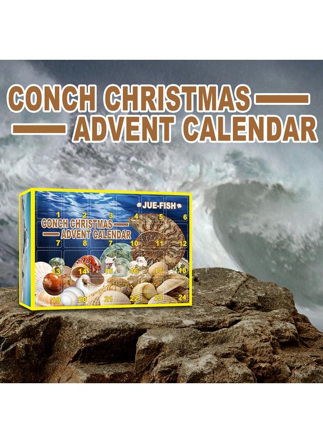 Christmas Countdown Advent Calendar 24 Pcs Shell Toys 2021 Conch Toy Set Blind Box Gift New Year
