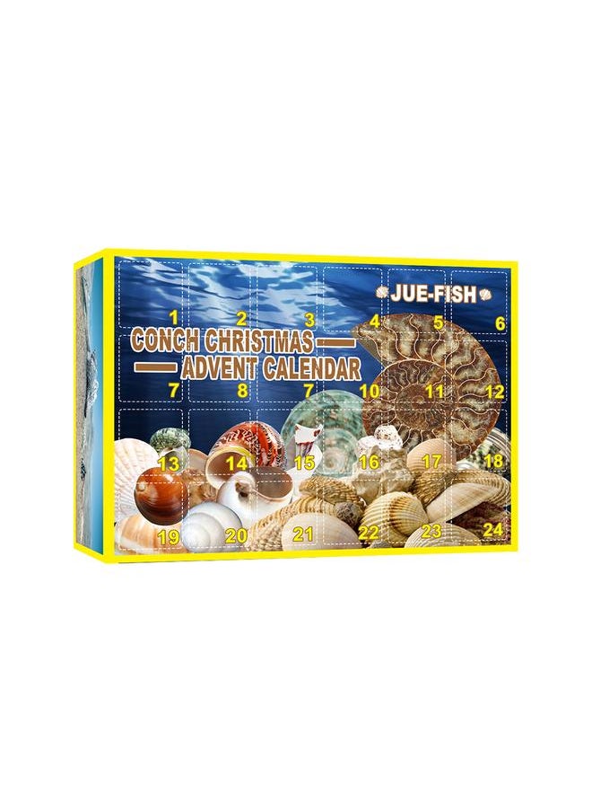 Christmas Countdown Advent Calendar 24 Pcs Shell Toys 2021 Conch Toy Set Blind Box Gift New Year