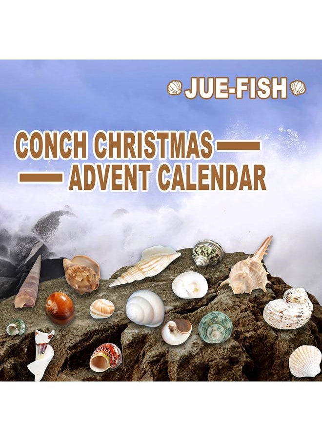 Christmas Countdown Advent Calendar 24 Pcs Shell Toys 2021 Conch Toy Set Blind Box Gift New Year